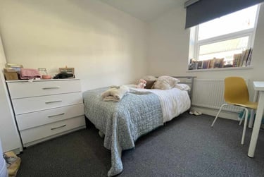 6 bed house, Cathays, Plasnewydd, Cardiff, CF244BQ - Image 6