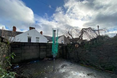 4 bed house, Cathays, Cardiff, CF244QT - Image 8