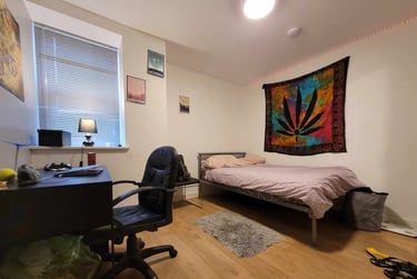 8 bed house, Cathays, Plasnewydd, Cardiff, CF244BH - Image 7