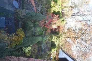 3 bed house, Kingfisher Way, Selly Oak, Birmingham, B301TG - Image 9