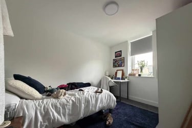 7 bed house, Cathays, Plasnewydd, Cardiff, CF244DJ - Image 12