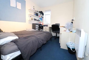 4 bed flat, Cathays, Cardiff, CF244PH - Image 4