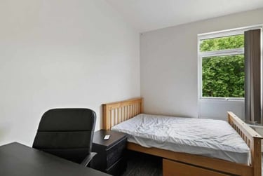 7 bed house, Cemetery Road, Sharrow, Sheffield, S118FQ - Image 9