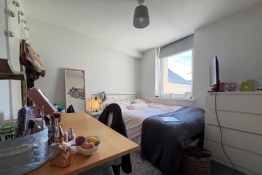 7 bed house, Cathays, Plasnewydd, Cardiff, CF244AL - Image 13