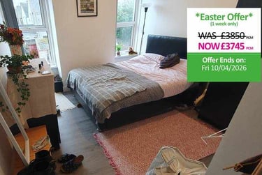 7 bed house, N/A, Riverside, Cardiff, CF119DA - Image 5