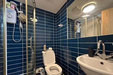 7 bed house, Roath, Plasnewydd, Cardiff, CF244RQ - Image 12