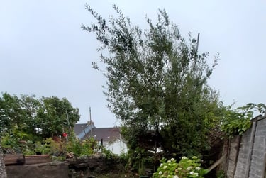 5 bed house, Norfolk Street, Mount Pleasant, Swansea, SA16JE - Image 12