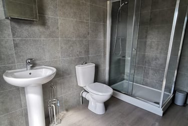 7 bed house, St Helens Avenue, Brynmill, Swansea, SA14ND - Image 3