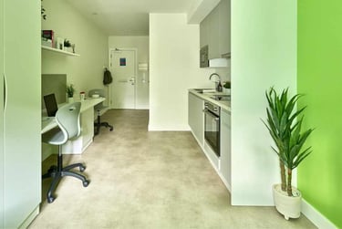 Studio Gold Plus - Image 4