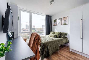 Deluxe 1 Bedroom Apartment - Image 4