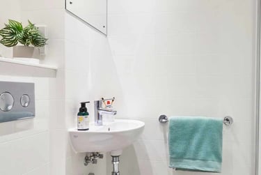 Ensuite Silver - Image 4