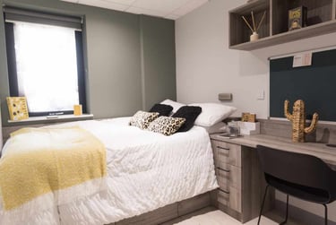 Luxury Studio - Image 1