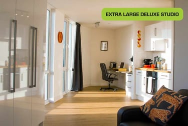 Penthouse Deluxe Studio with City View - Image 10