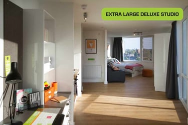 Penthouse Deluxe Studio with City View - Image 9