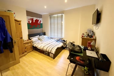 7 bed house, Cathays, Plasnewydd, Cardiff, CF243AJ - Image 8