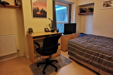 3 bed house, Catherine Street, Brynmill, Swansea, SA14JS - Image 4
