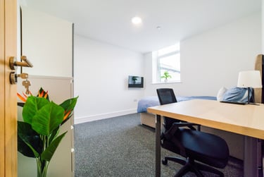 7 bed house, Cathays, Cardiff, CF244JE - Image 7