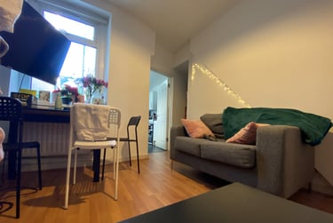 4 bed house, Roath, Plasnewydd, Cardiff, CF243HE - Image 3