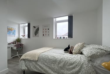 6 bed house, Cathays, Cardiff, CF244NU - Image 5