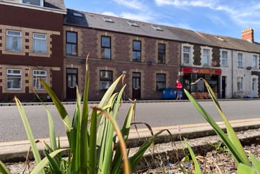 8 bed house, Cathays, Cardiff, CF244HT - Image 1