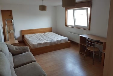 7 bed house, Constitution Hill, Mount Pleasant, Swansea, SA16JA - Image 5