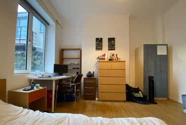 9 bed house, Cathays, Plasnewydd, Cardiff, CF244AU - Image 14
