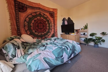 4 bed house, Roath, Plasnewydd, Cardiff, CF243JS - Image 8
