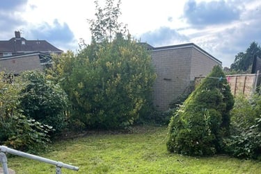 6 bed house, Edgeworth Road, Earlham, Norwich, NR58JD - Image 6