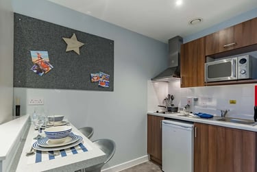5 Bed Club Studio at Mary Parker House, 17 Apsley Road, Mutley, Plymouth, PL46PJ - Image 2