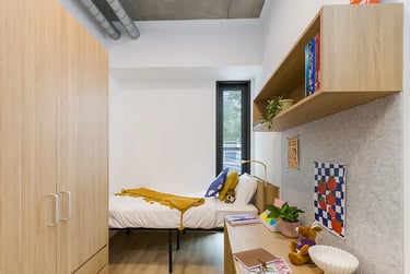 Studio Single - Image 2