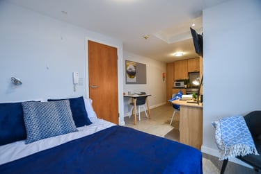 Gold Studio Plus - Image 1