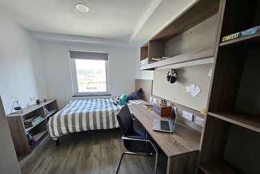 Standard En Suite Penthouse at Coppergate, 17–18 The Kingsway, City Centre, Swansea, SA15JZ - Image 1