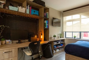 Large Studio Plus - Image 1