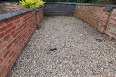 2 bed house, Western Road, City Centre, Leicester, LE30ED - Image 10