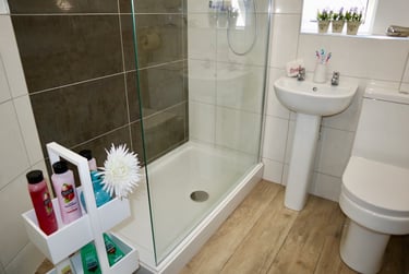 5 bed house, Mackintosh Place, Roath, Cathays, Cardiff, CF244RR - Image 4