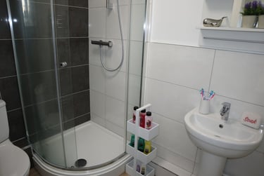 5 bed house, Rosehill Terrace, Mount Pleasant, Mount Pleasant, Swansea, SA16JN - Image 6