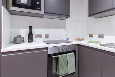 Deluxe 2 Bed Apartment - Image 4