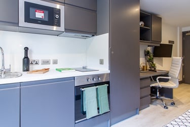 Deluxe Studio Plus - Image 3