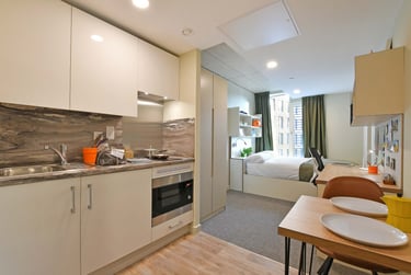 Platinum Studio at LIV Student Sheffield, 131 Ecclesall Road, City Centre, Sheffield, S118HY - Image 3