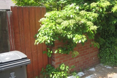 4 bed house, Hawthorn Terrace (L), Nevilles Cross, Durham, DH14EL - Image 15