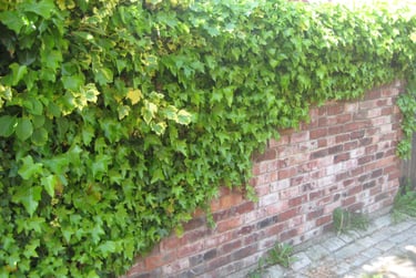 4 bed house, Hawthorn Terrace (L), Nevilles Cross, Durham, DH14EL - Image 13