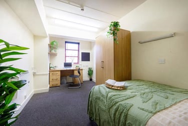 Bronze Non Ensuite - Medium at Manchester Student Village, Lower Chatham Street, City Centre, Manchester, M15SX - Image 2