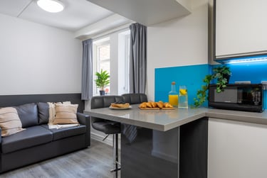 Platinum Studio at Manchester Student Village, Lower Chatham Street, City Centre, Manchester, M15SX - Image 5