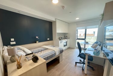 Premium Plus - Image 1
