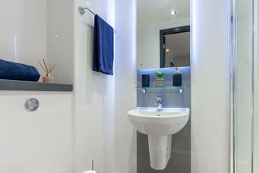 Gold Suite - Image 8