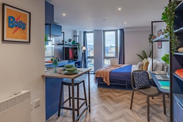 Gold Suite - Image 1