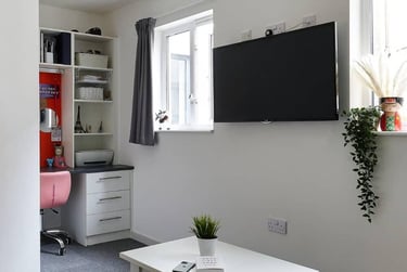 Premium Studio - Image 2