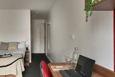 Standard Plus En-suite - Image 3