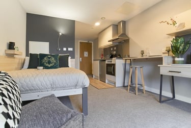 Standard Studio - Image 2