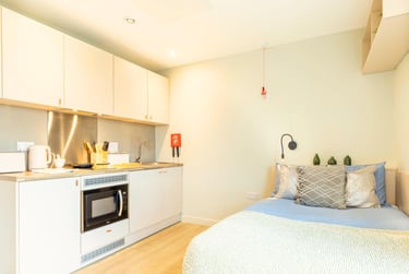 Premium Plus Studio at Straits Meadow, 61-63 London Road, Meadowbank, Edinburgh, EH76AA - Image 1